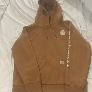 Carhartt unisex Brown Hoodie Sweater
